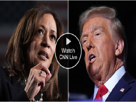 Live election updates: Donald Trump wins US presidency | 2024 united states presidential election - Beritaja